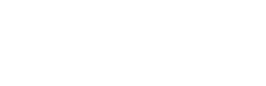 Suppprt Lines Logo